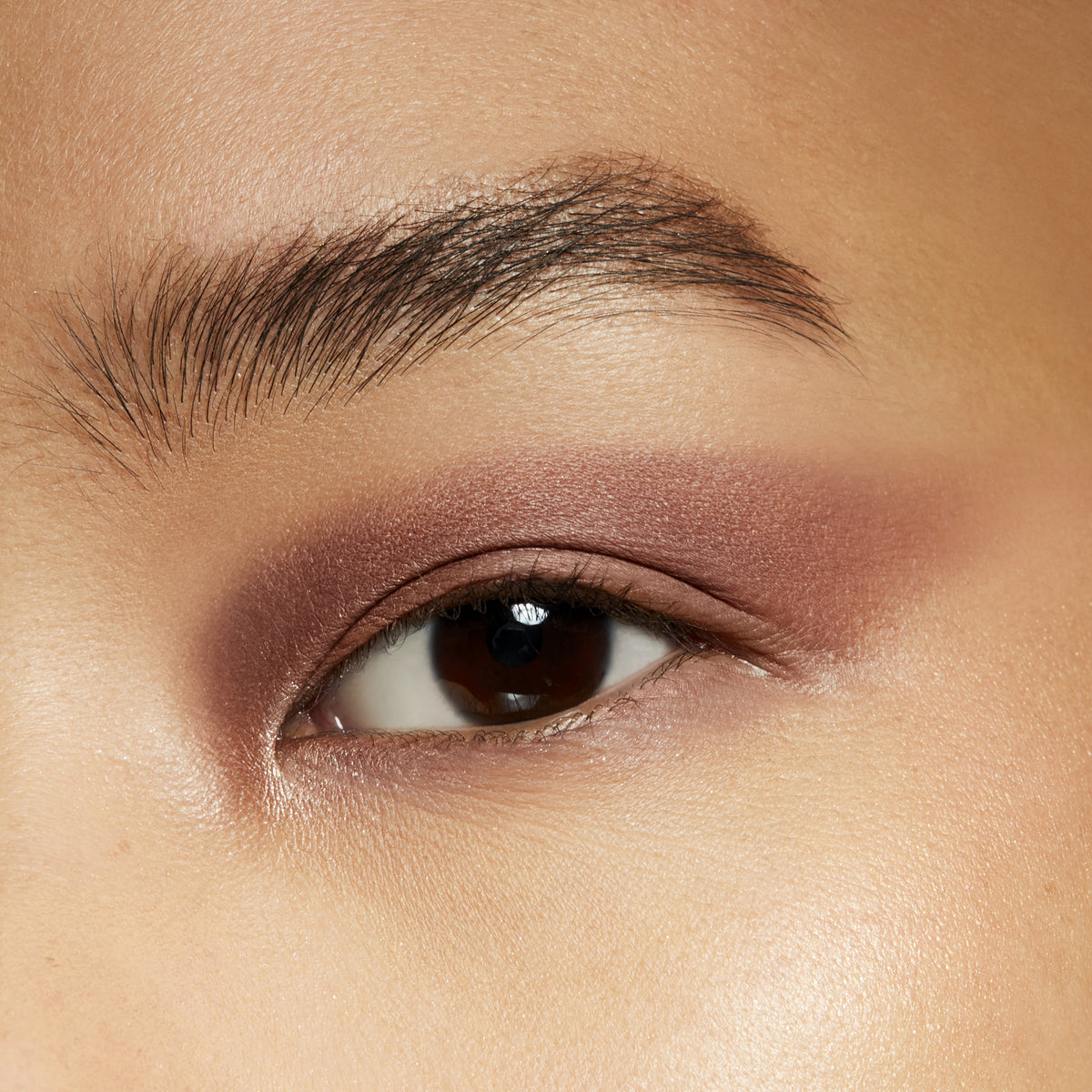 Small Eye Shadow, 1.5 g, Haux, Model, medium