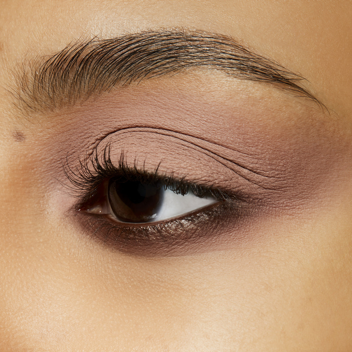 Small Eye Shadow, 1.5 g, Malt, Model, medium