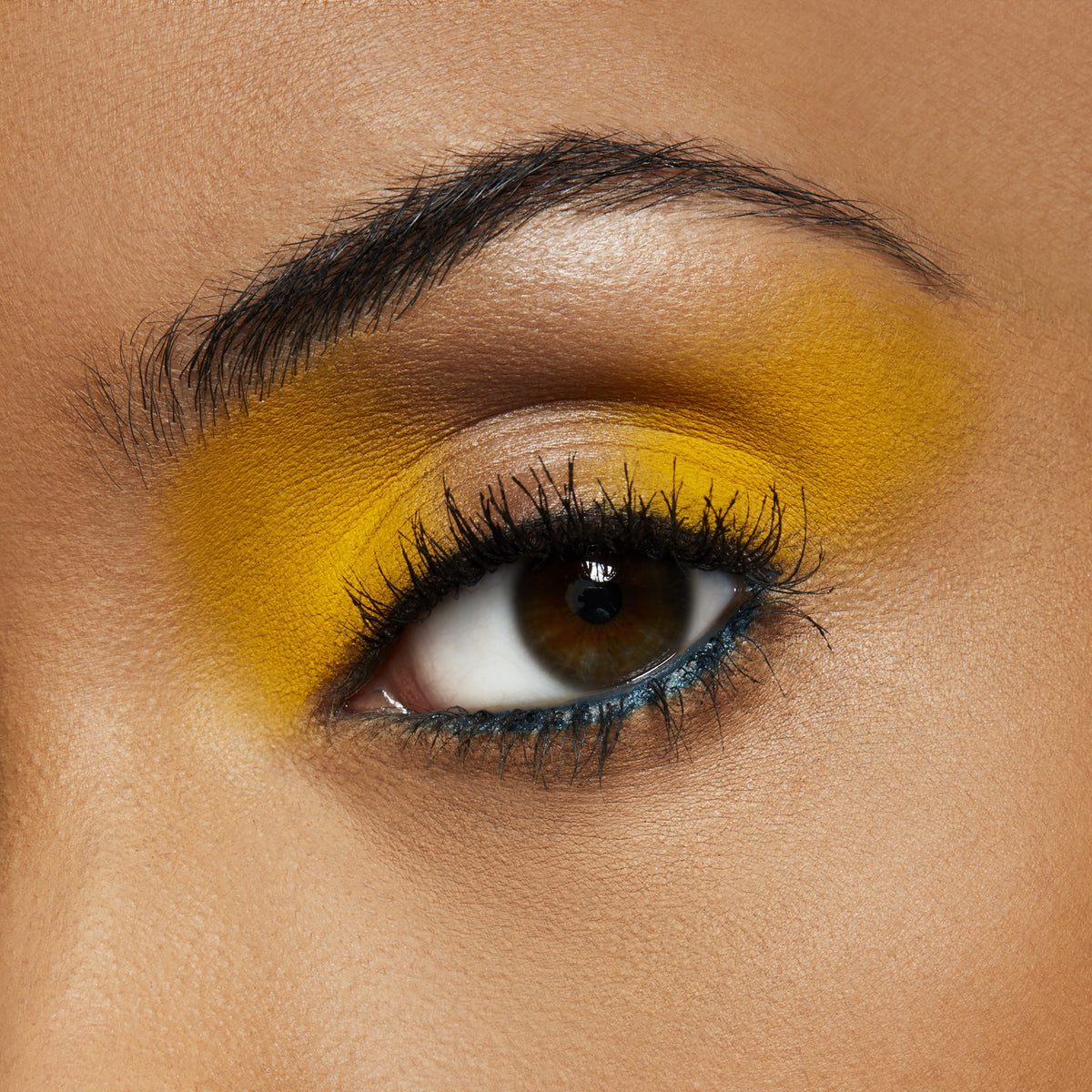 Pro Palette Pan, 1.5 g, Chrome Yellow, Model, medium