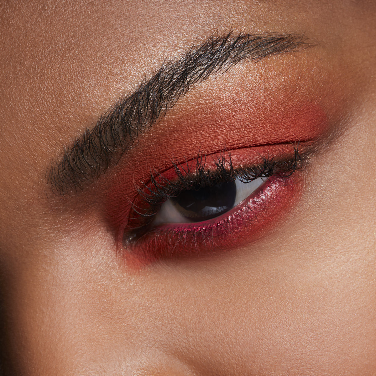 Pro Palette Pan, 1.5 g, Red Brick, Model, deep
