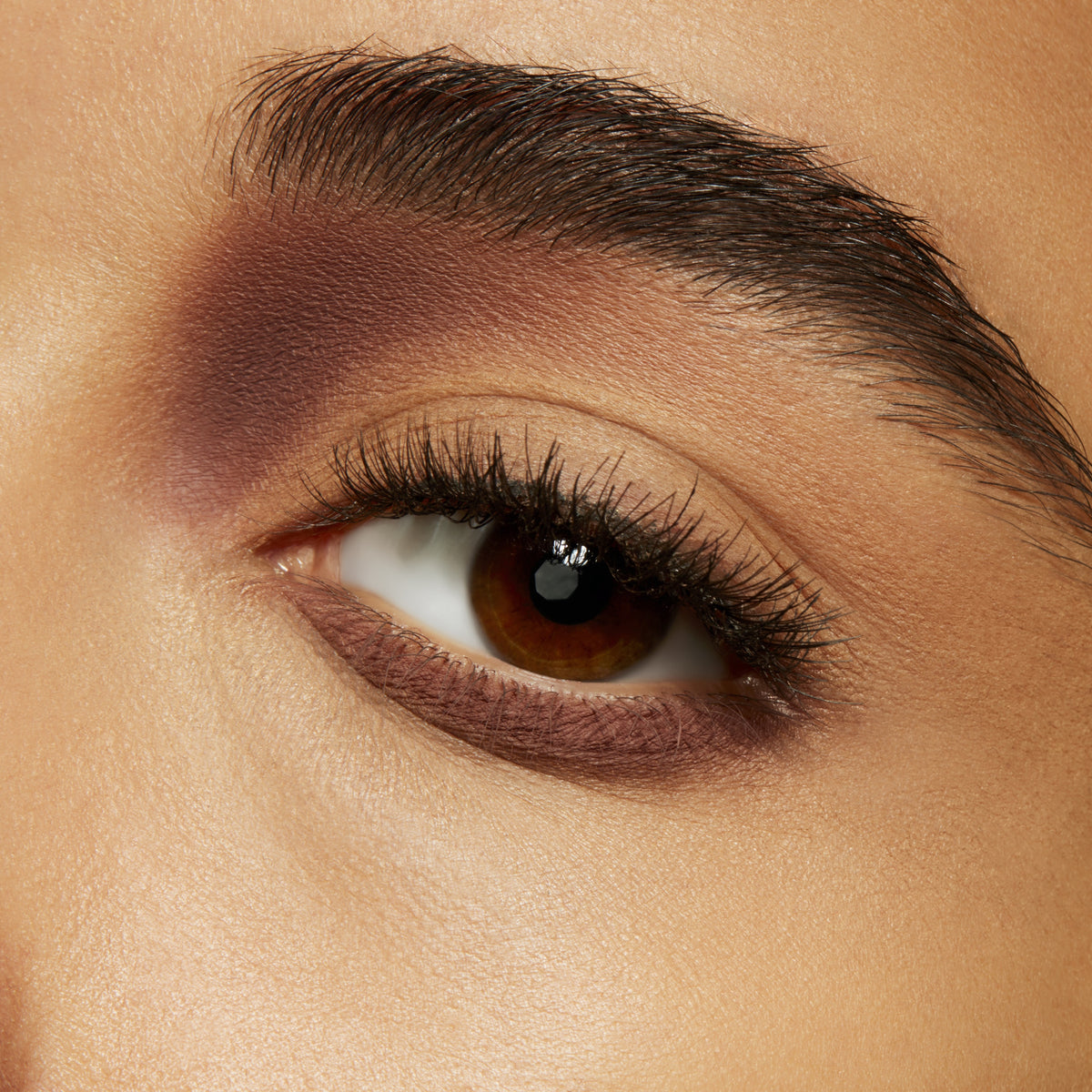 Small Eye Shadow, 1.5 g, Finjan, Model, medium
