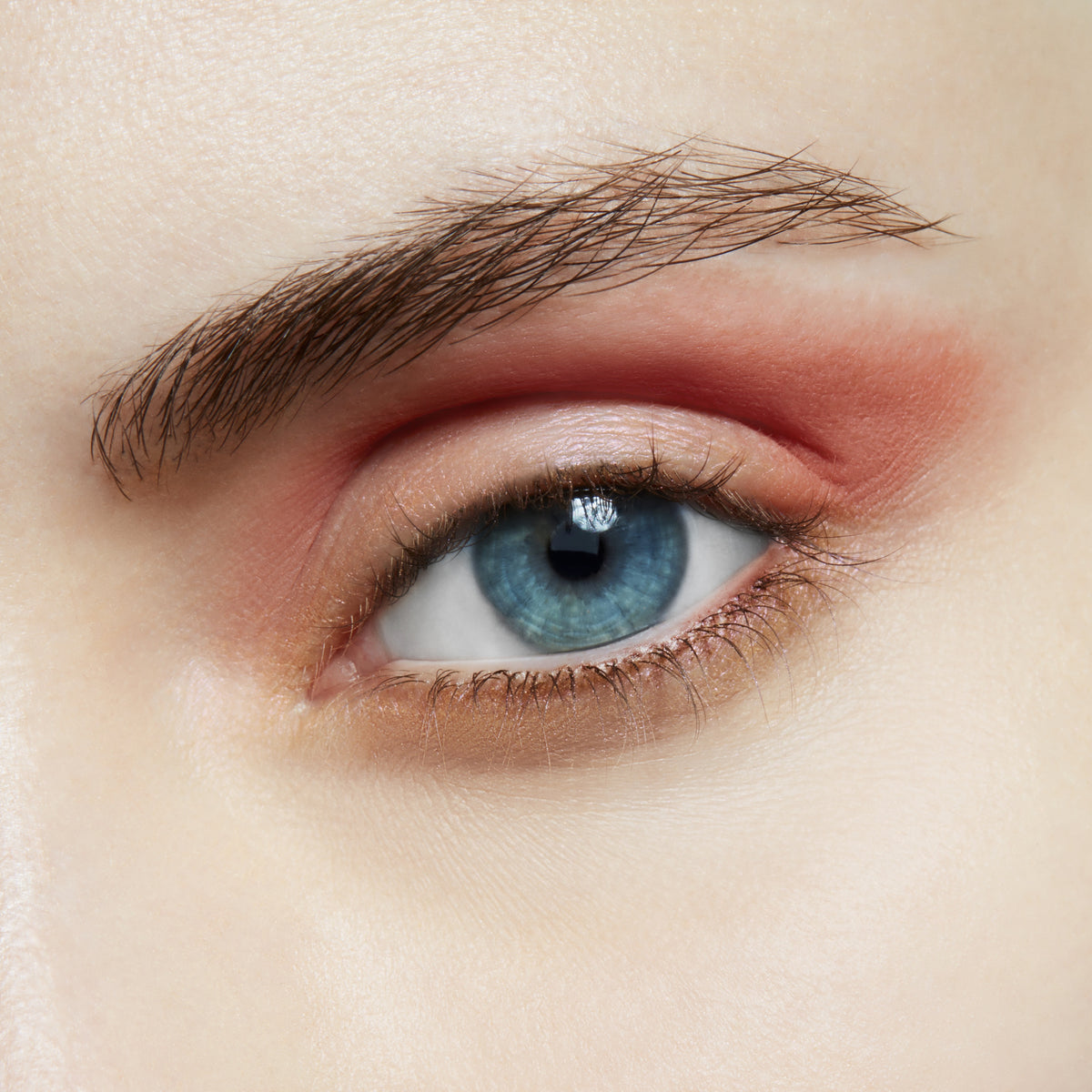 Small Eye Shadow, 1.5 g, Coral, Model, light