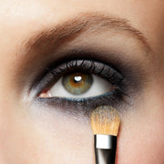 252 Synthetic Large Shader Brush, Model