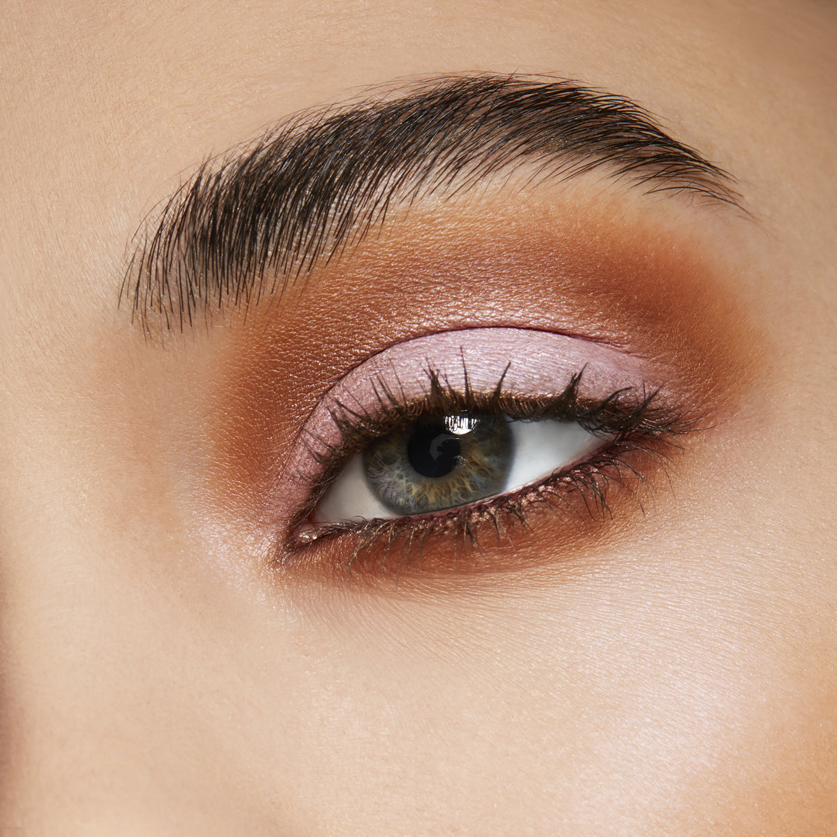 Pro Palette Pan, 1.5 g, Uninterrupted, Model, light