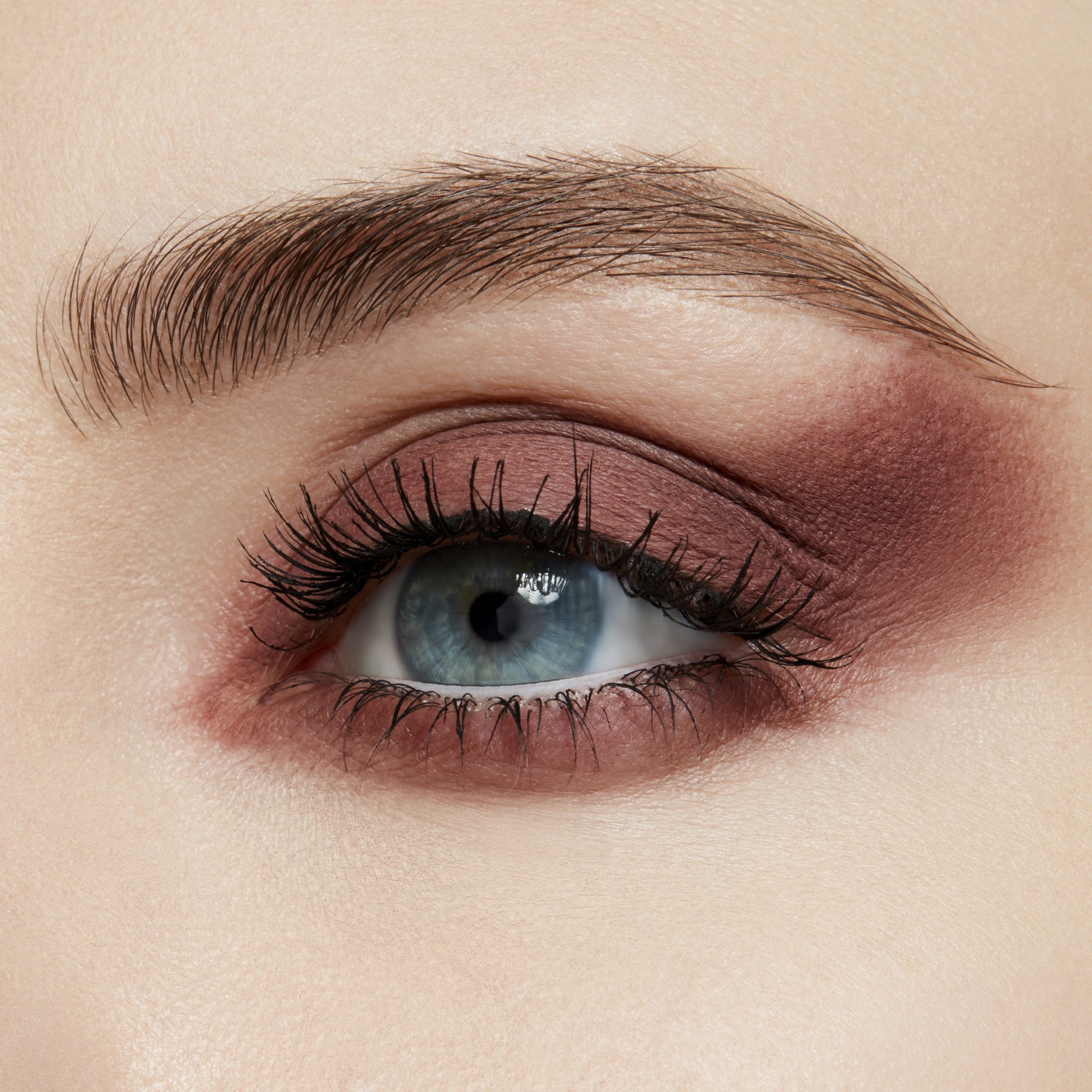 Pro Palette Pan, 1.5 g, Finjan, Model, light