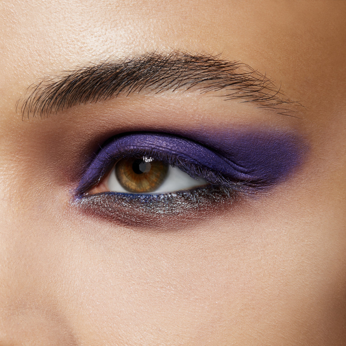 Pro Palette Pan, 1.5 g, Power To The Purple, Model, medium