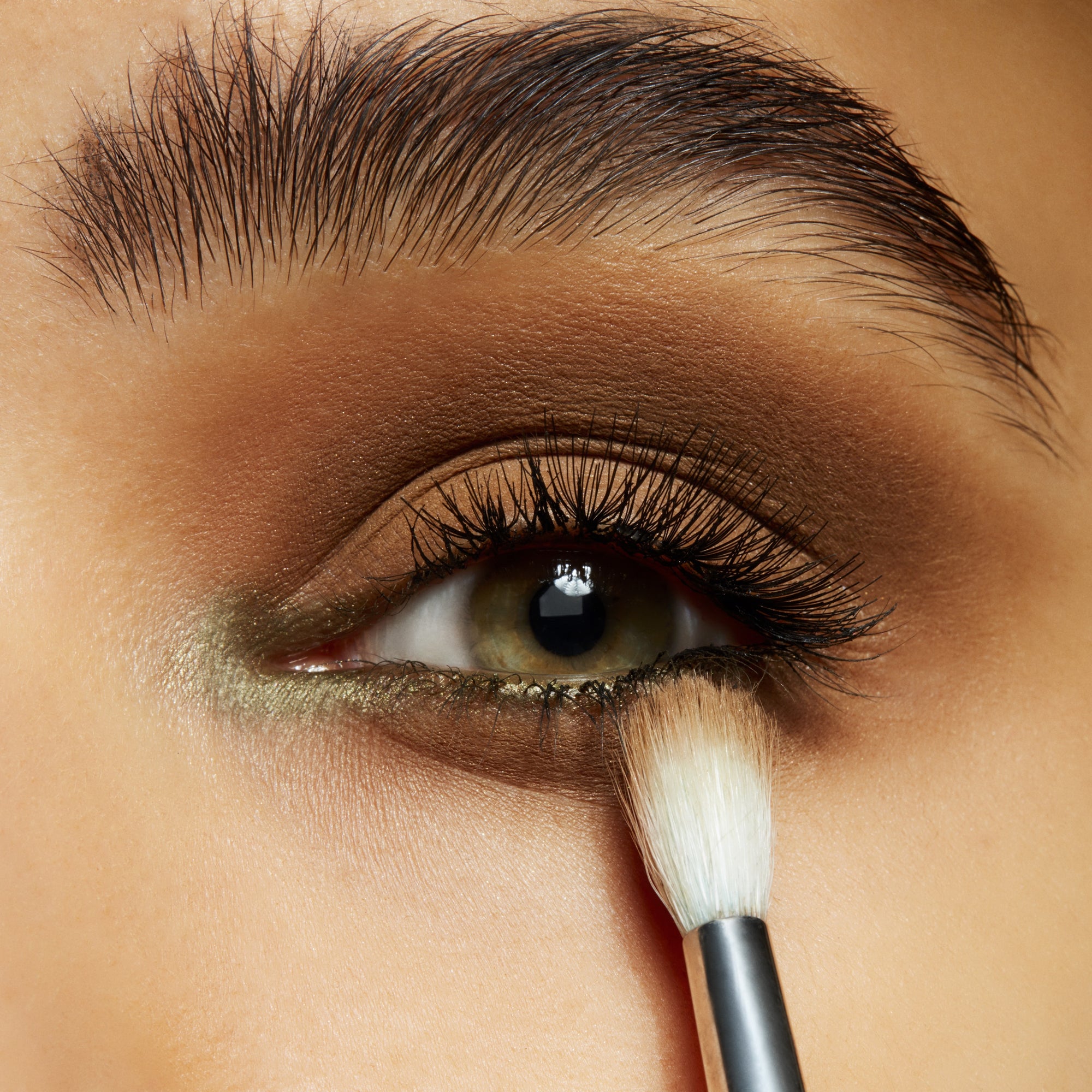 Pro Palette Pan, 1.5 g, Natural Wilderness, Model, medium