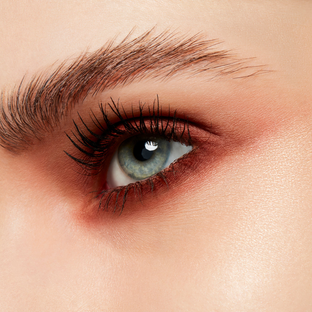 Powder Kiss Soft Matte Eye Shadow Pro Palette, 1.5 g, Devoted To Chili, Model, light