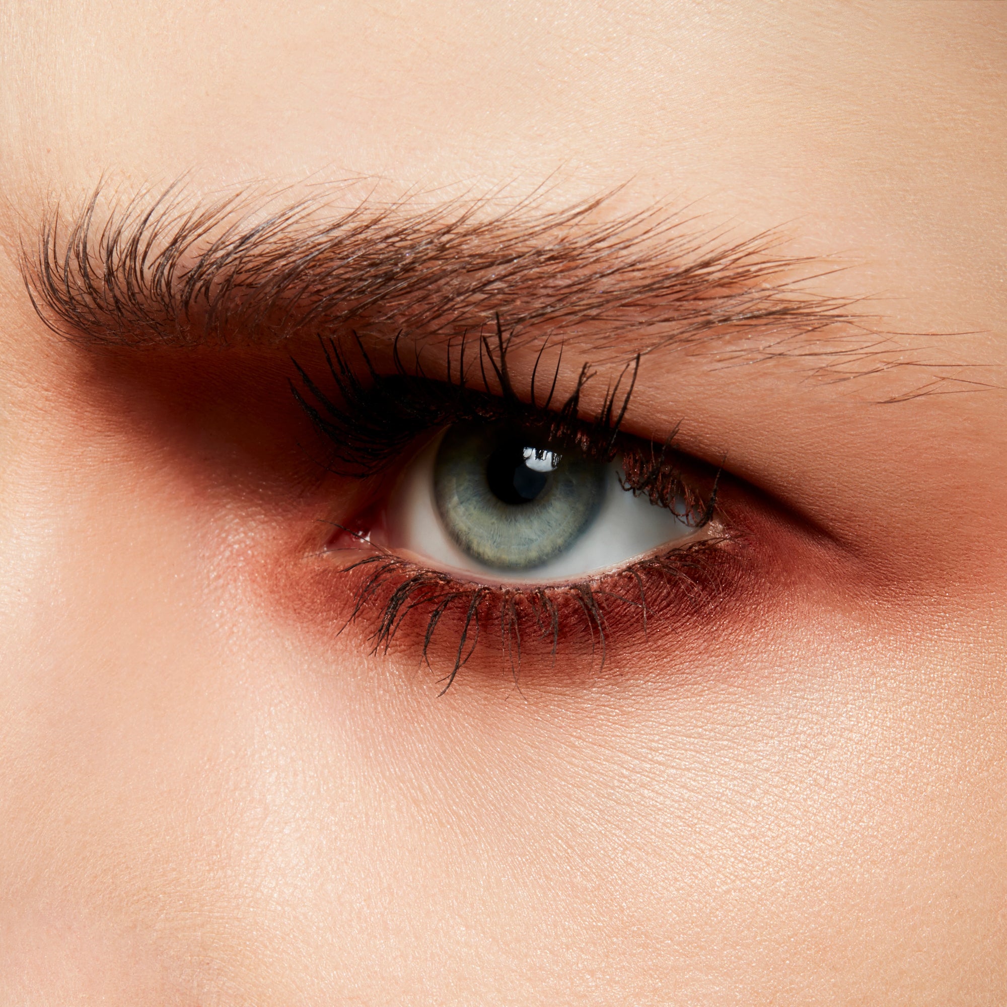 Powder Kiss Soft Matte Eye Shadow Pro Palette, 1.5 g, Devoted To Chili, Model, light