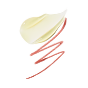Plumping Powerhouses Lip Combo