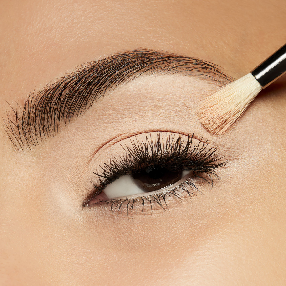Small Eye Shadow, 1.5 g, Orb, Model, medium