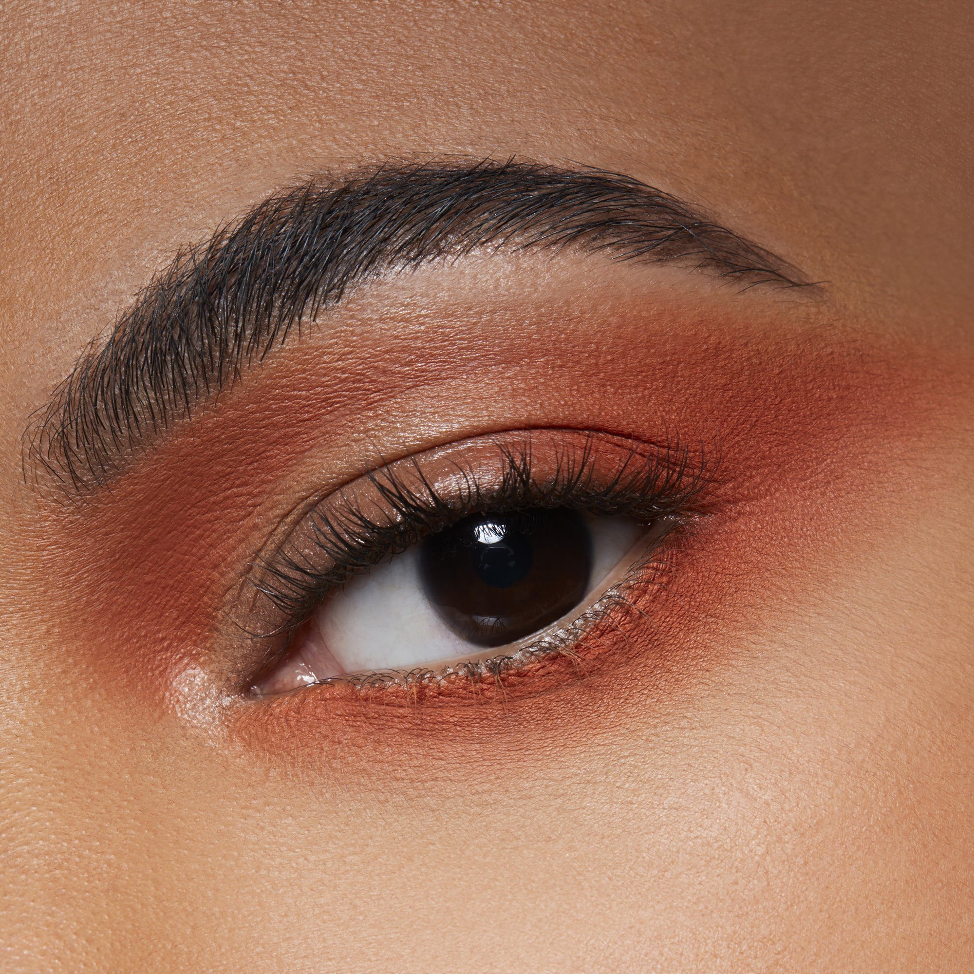 Small Eye Shadow, 1.5 g, Rule, Model, medium