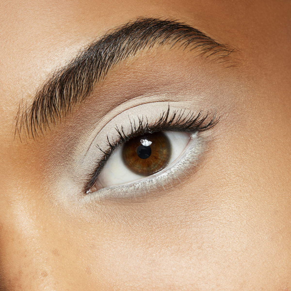 Small Eye Shadow, 1.5 g, Gesso, Model, medium