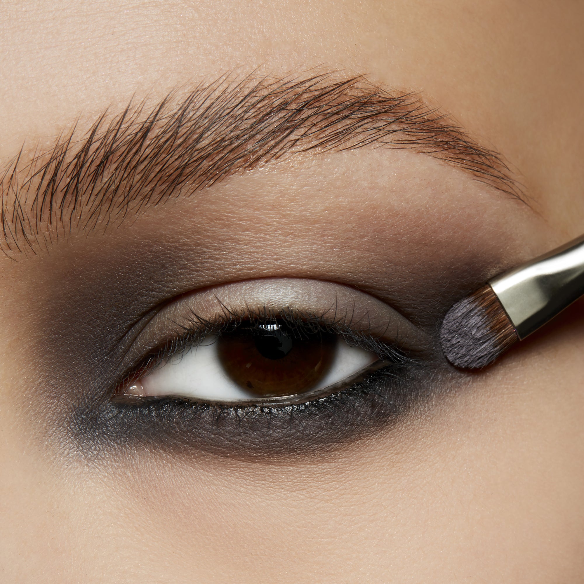 Pro Palette Pan, 1.5 g, Scene, Model, light