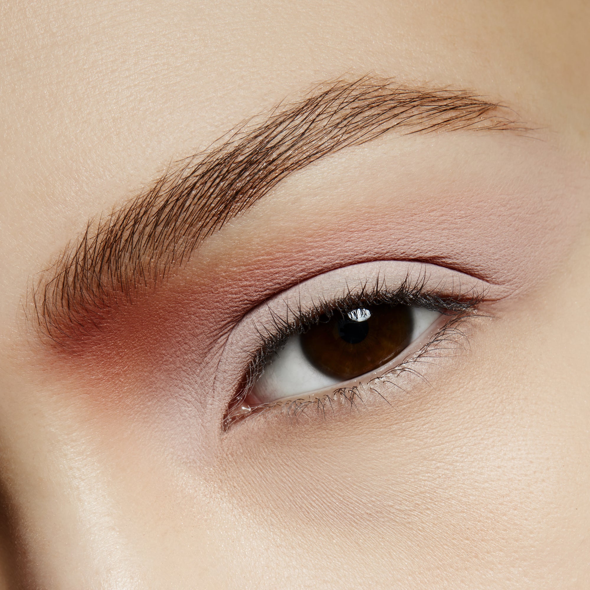 Pro Palette Pan, 1.5 g, Yogurt, Model, light