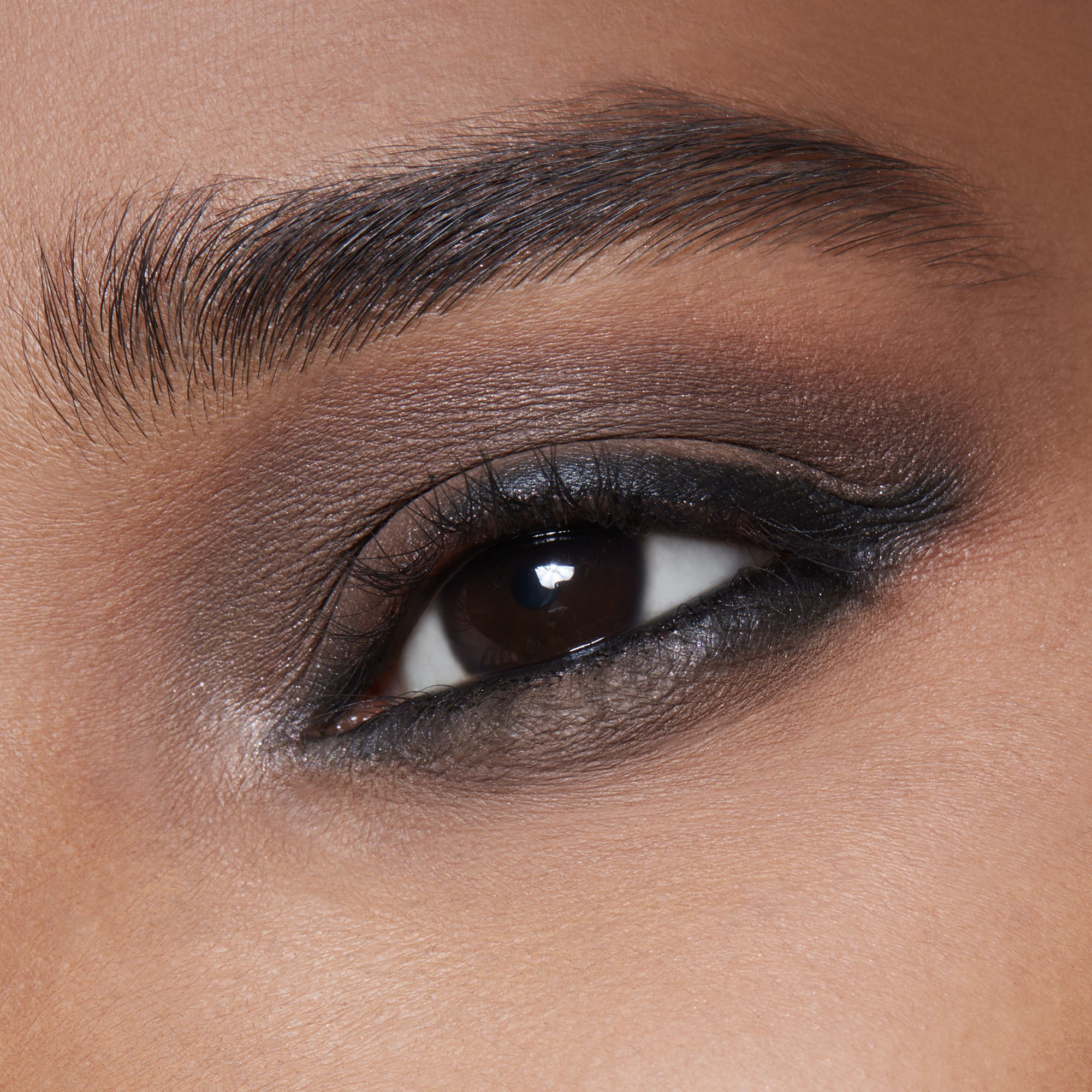 Pro Palette Pan, 1.5 g, Charcoal Brown, Model, deep