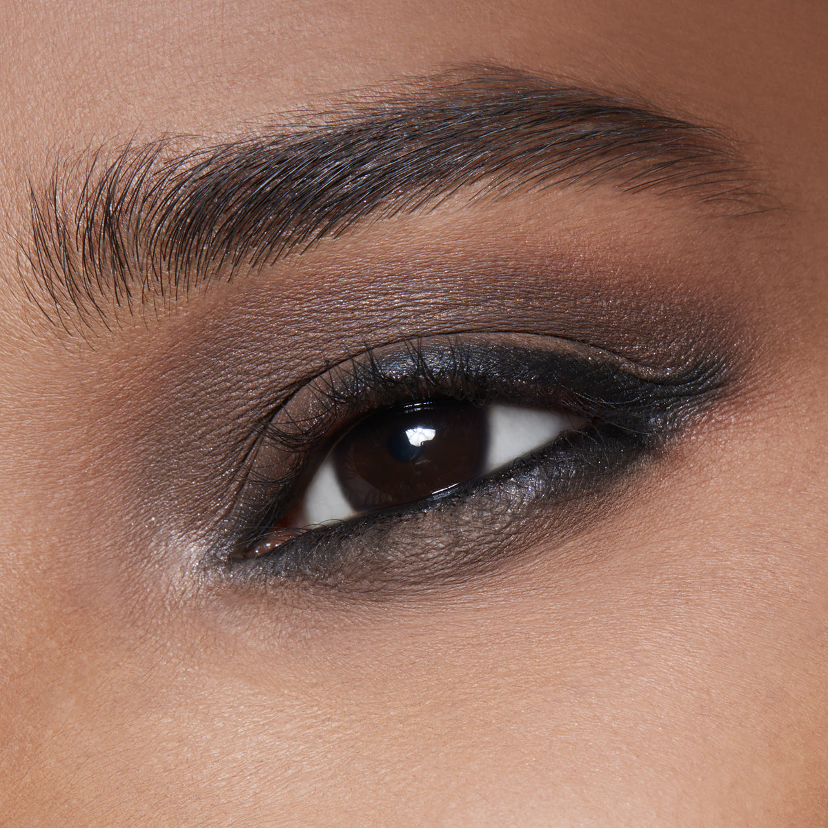 Pro Palette Pan, 1.5 g, Charcoal Brown, Model, deep