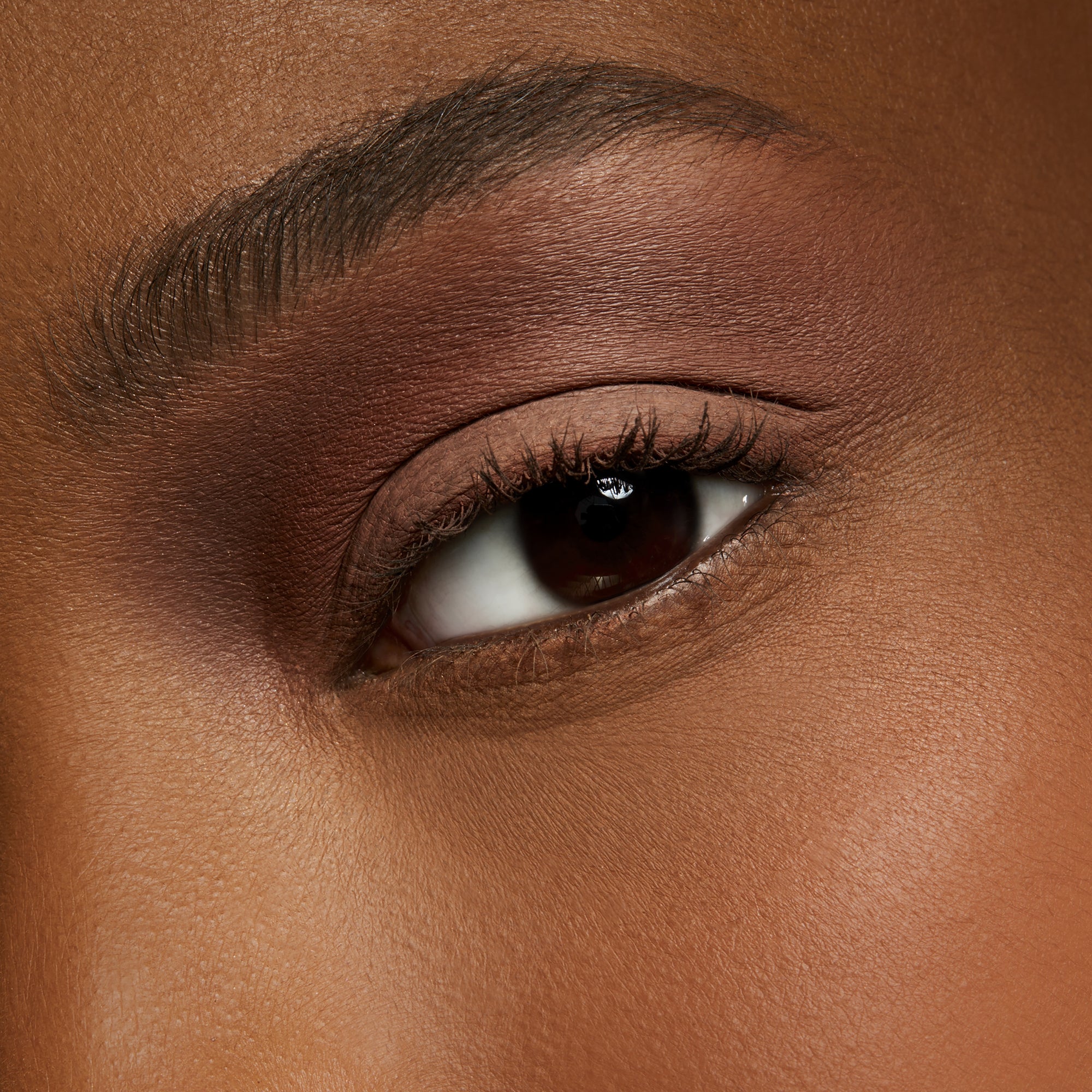 Pro Palette Pan, 1.5 g, Soft Brown, Model, deep