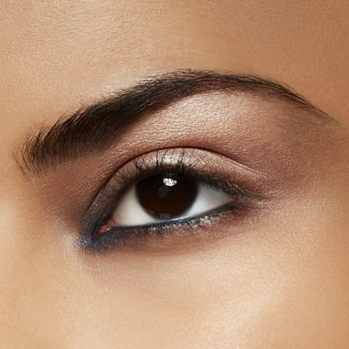 Pro Palette Pan, 1.5 g, Naked Lunch, Model, medium