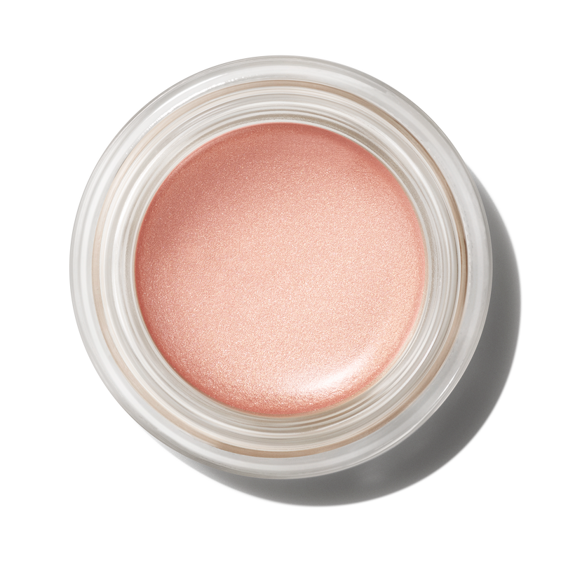 Pro Longwear Paint Pot - Bare Study