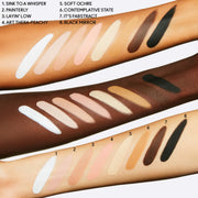 Pro Longwear Paint Pot, 5.0 g, Painterly, Model
