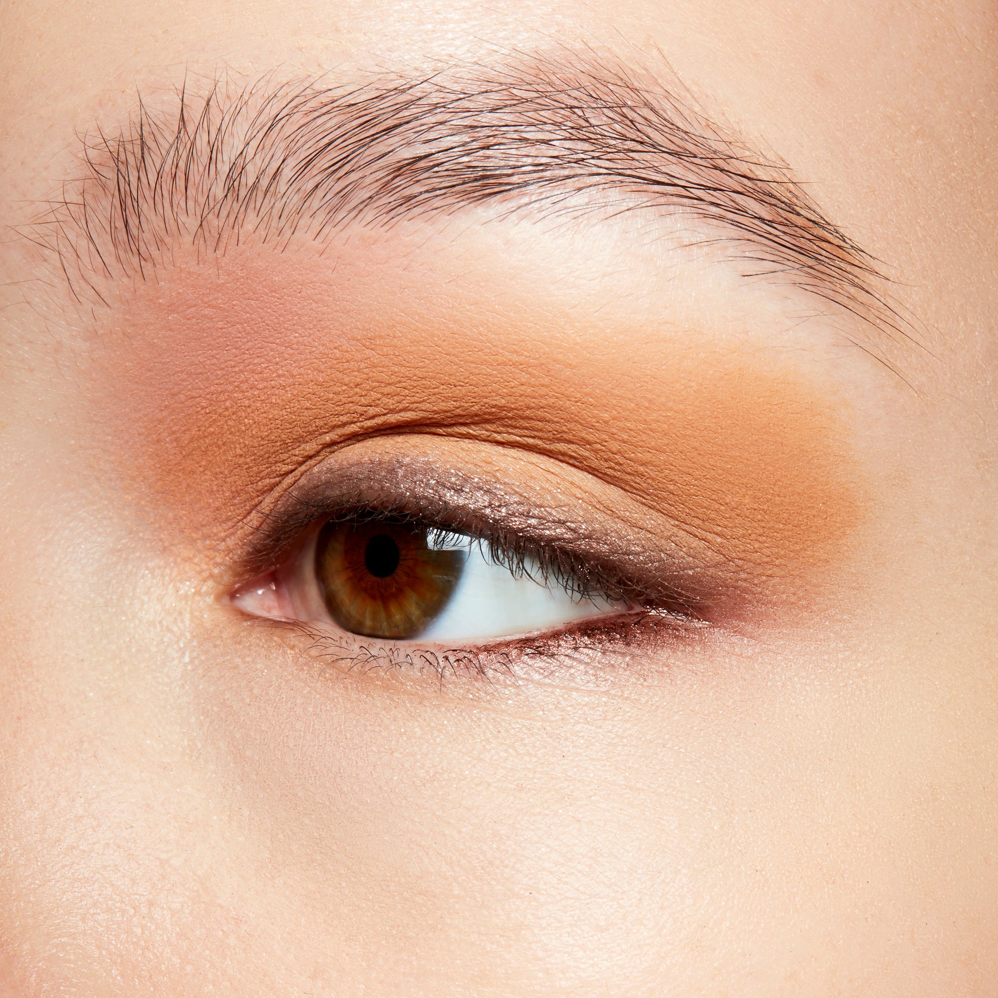 Pro Longwear Paint Pot, 5.0 g, Contemplative State, Model, light