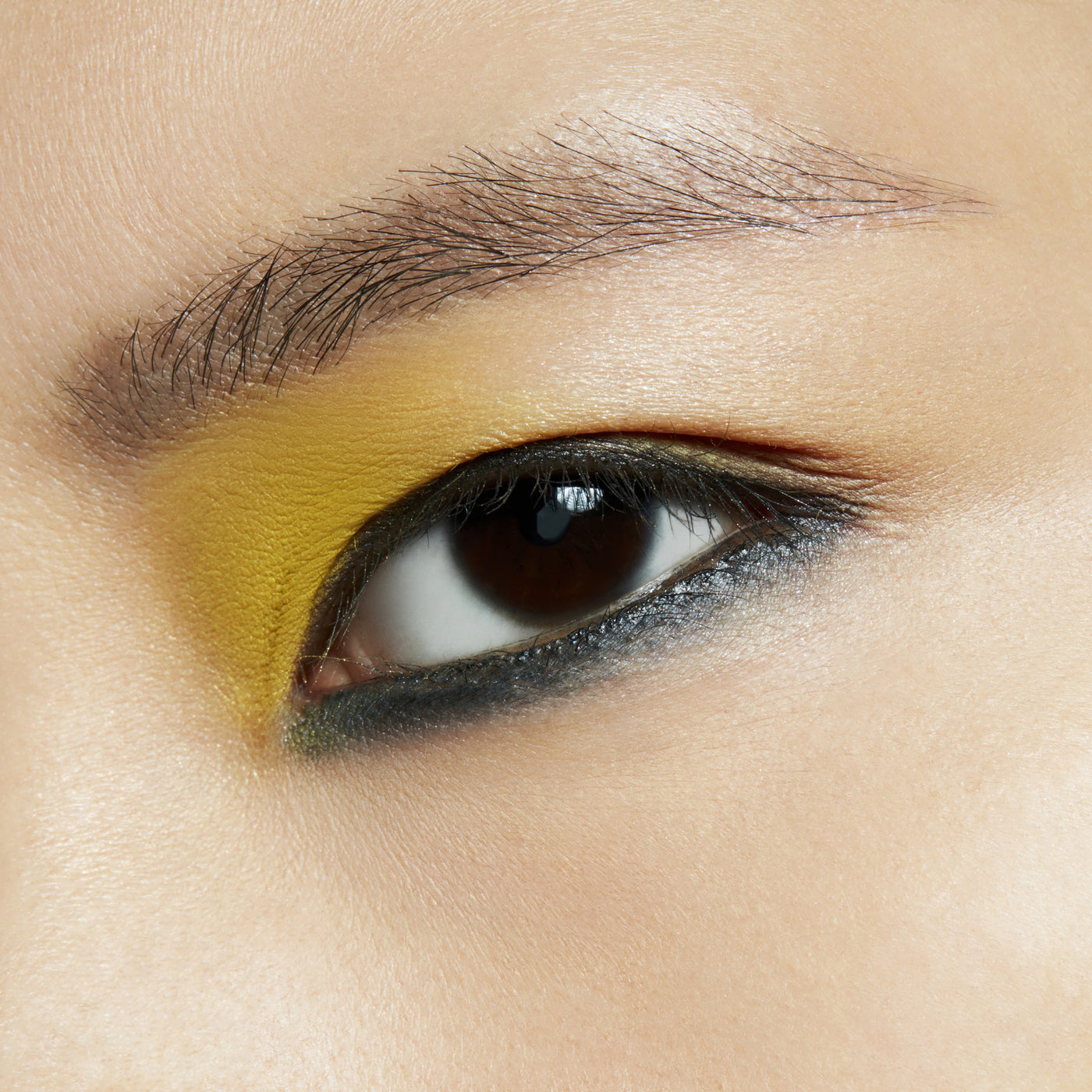 Pro Palette Pan, 1.5 g, Memories Of Space, Model, light
