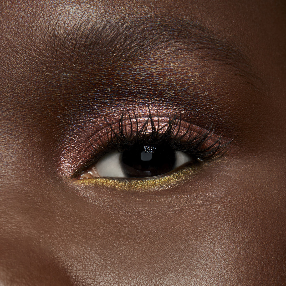 Pro Palette Pan, 1.5 g, Nude Model, Model, deep