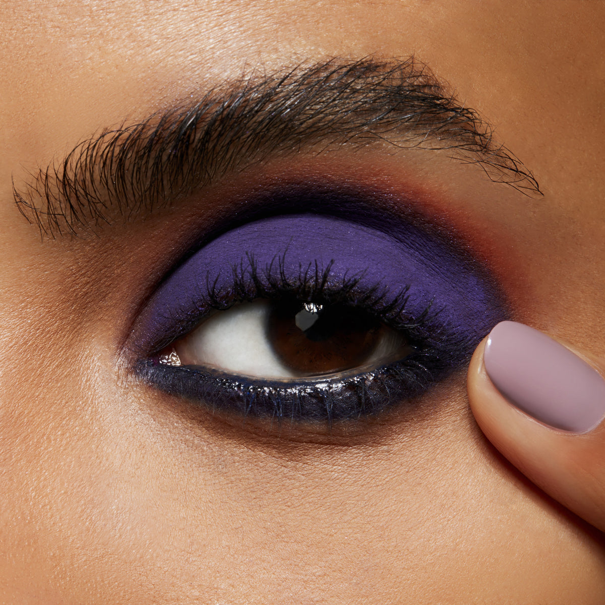 Pro Palette Pan, 1.5 g, Power To The Purple, Model, deep