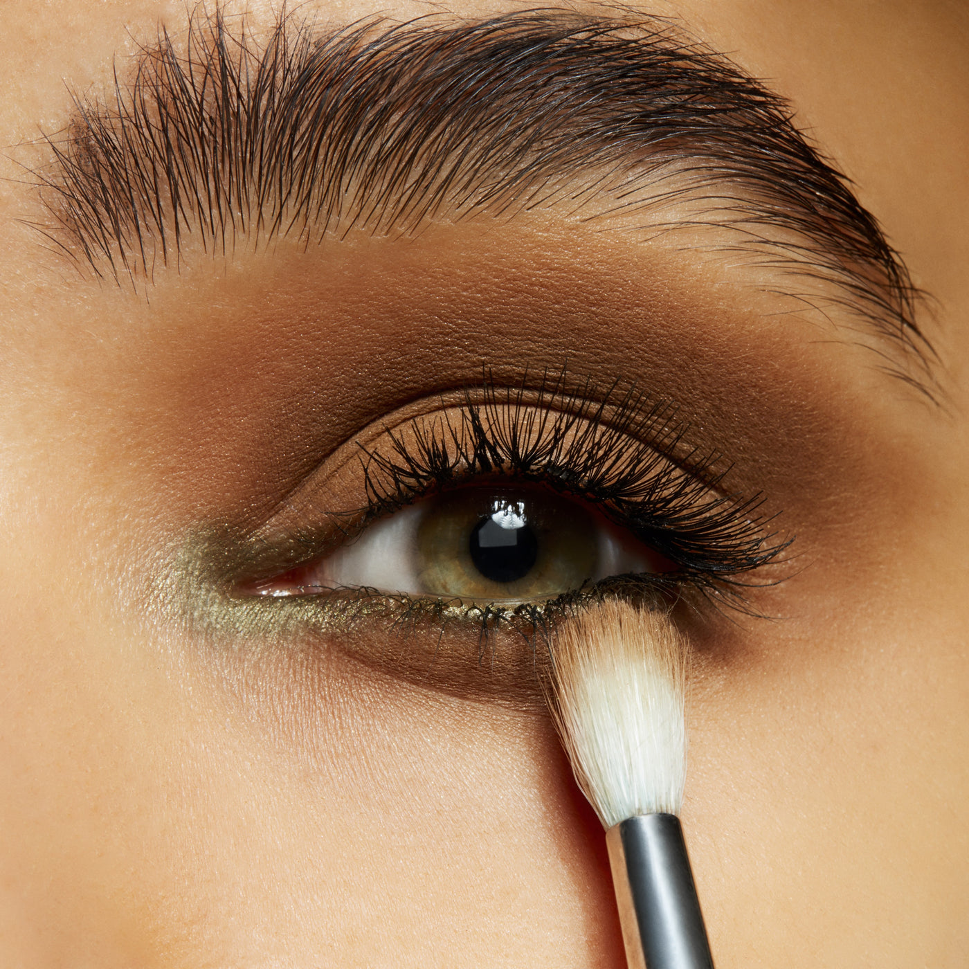 Pro Palette Pan, 1.5 g, Natural Wilderness, Model, medium