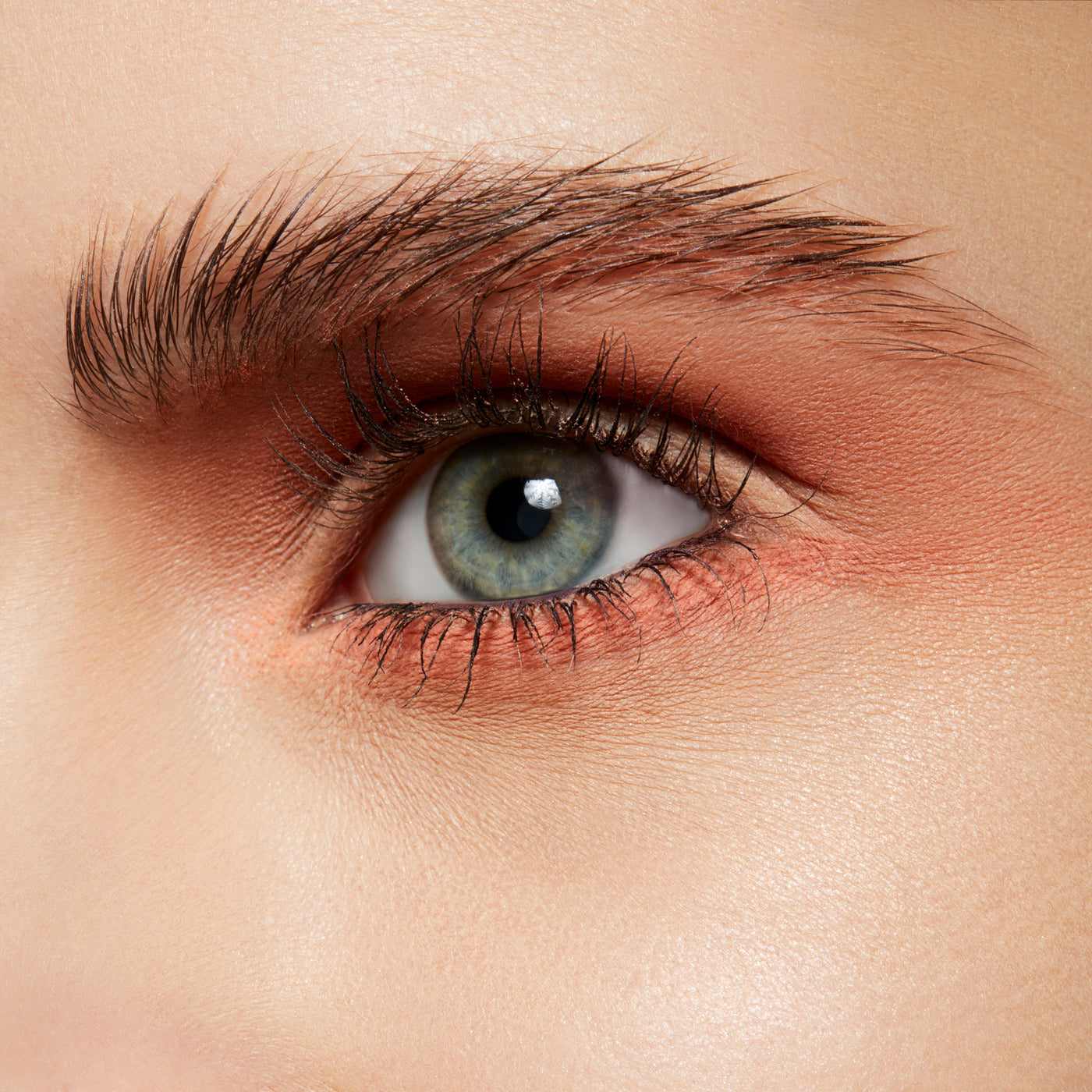 Powder Kiss Soft Matte Eye Shadow, 1.5 g, Strike A Pose, Model, light