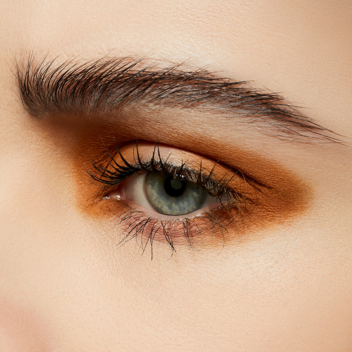 Powder Kiss Soft Matte Eye Shadow, 1.5 g, These Bags Are Designer, Model, light
