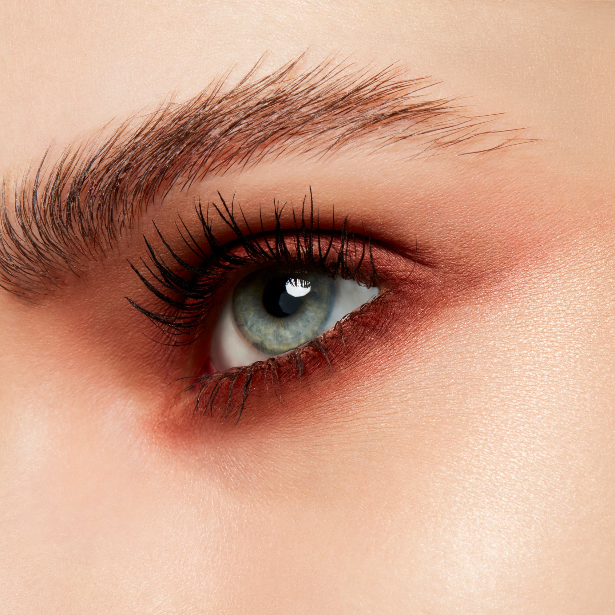 Powder Kiss Soft Matte Eye Shadow Pro Palette, 1.5 g, Devoted To Chili, Model, light