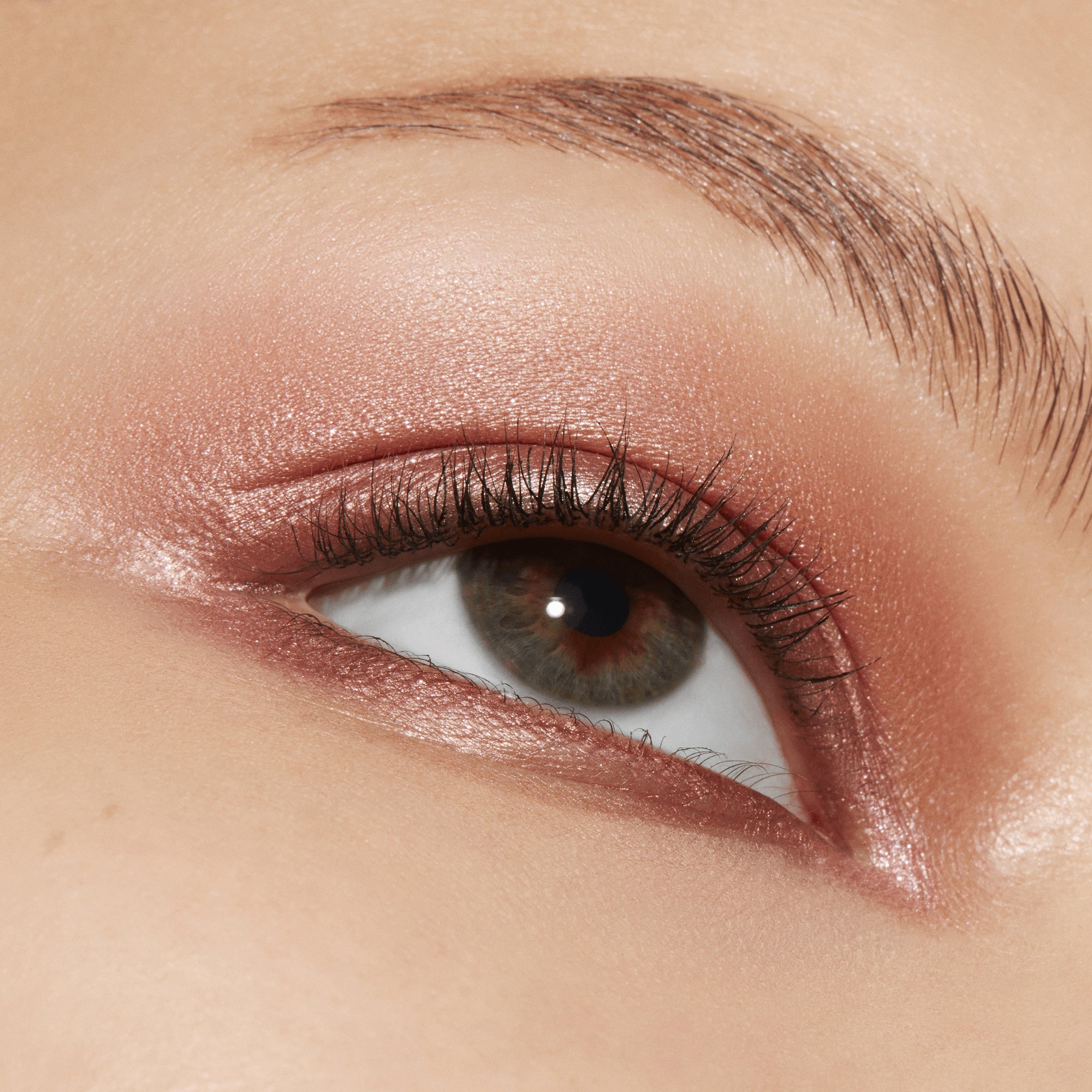 Connect In Colour Eye Shadow Palette: Rose Lens, 6.25 g, Multi, Model, medium