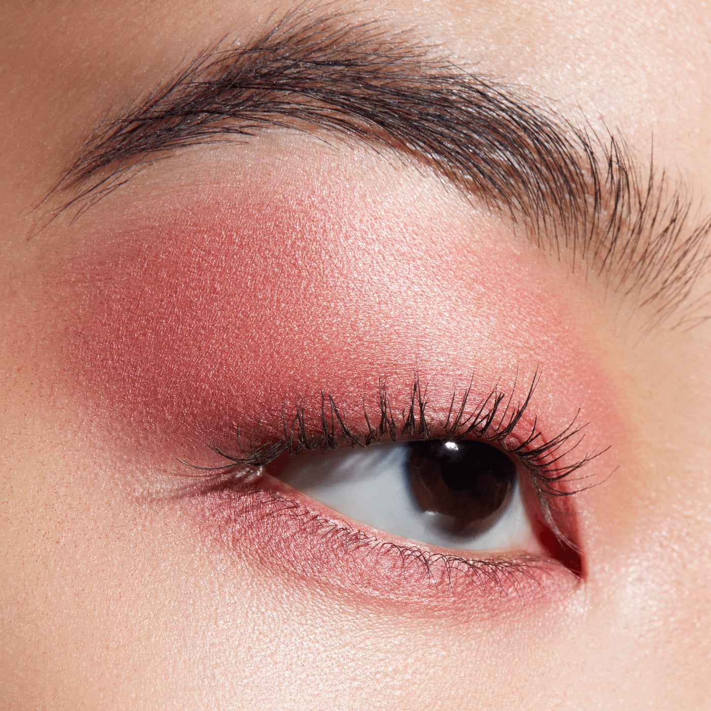 Connect In Colour Eye Shadow Palette: Rose Lens, 6.25 g, Multi, Model, light