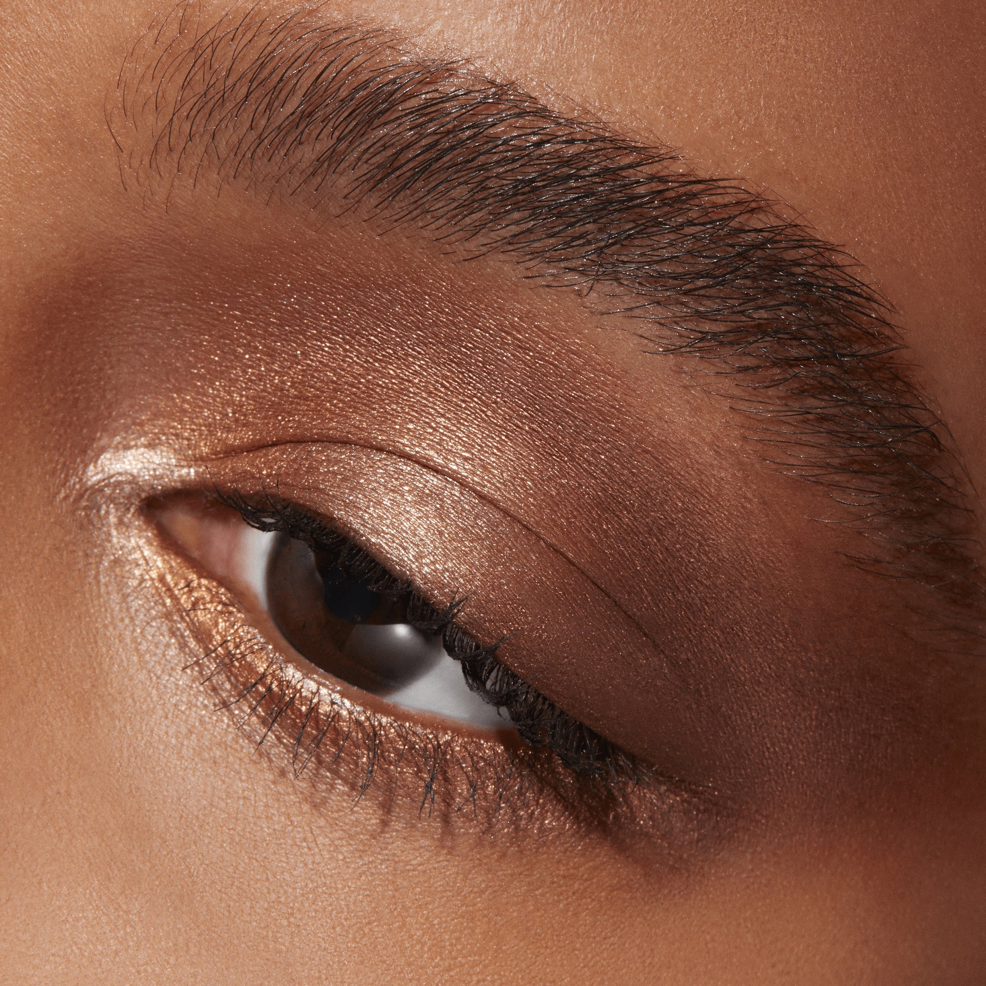 Connect In Colour Eye Shadow Palette: Bronze Influence, 6.25 g, Multi, Model, deep