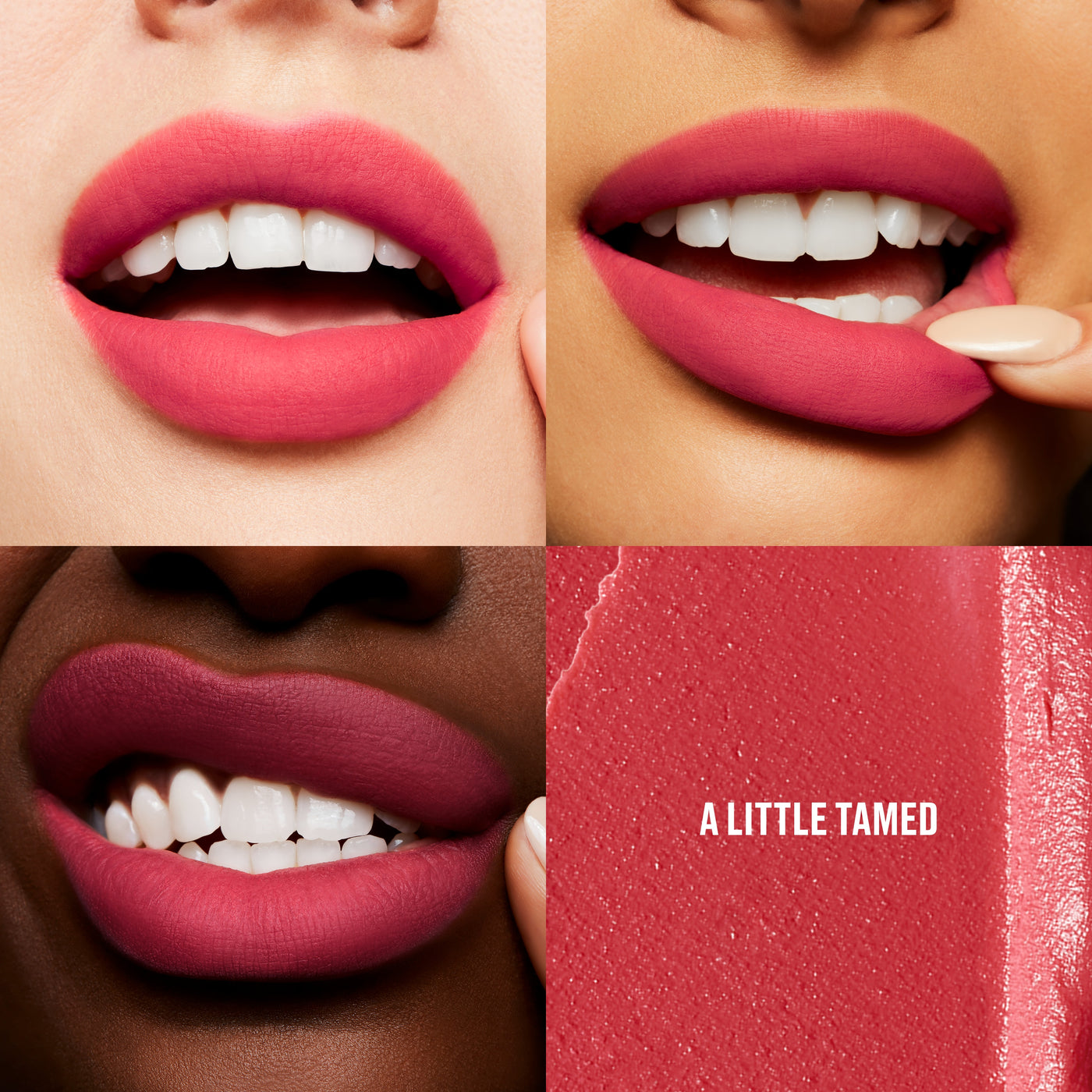 Powder Kiss Lip + Cheek Mousse, 5.0 ml, A Little Tamed, Model