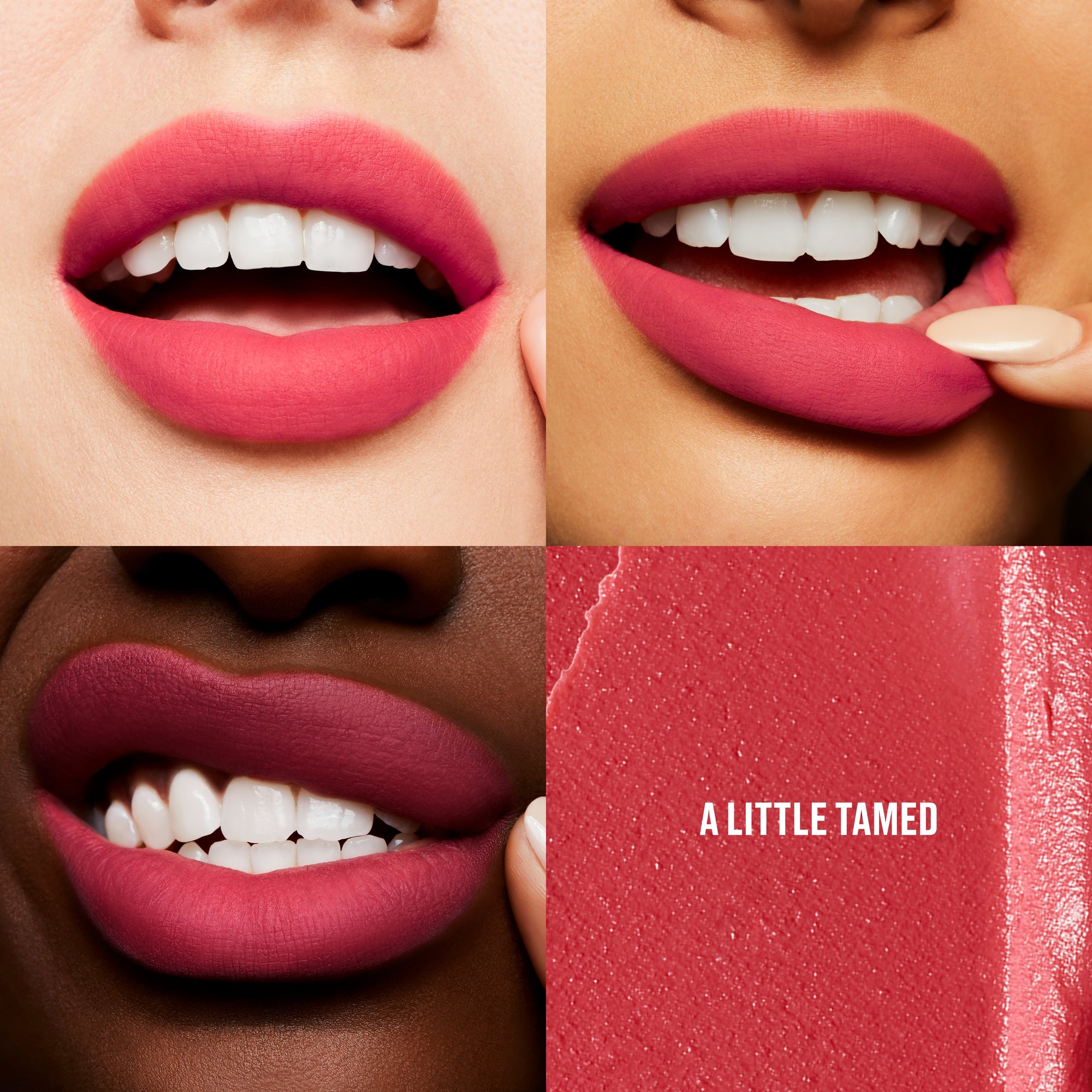 Powder Kiss Lip + Cheek Mousse, 5.0 ml, A Little Tamed, Model