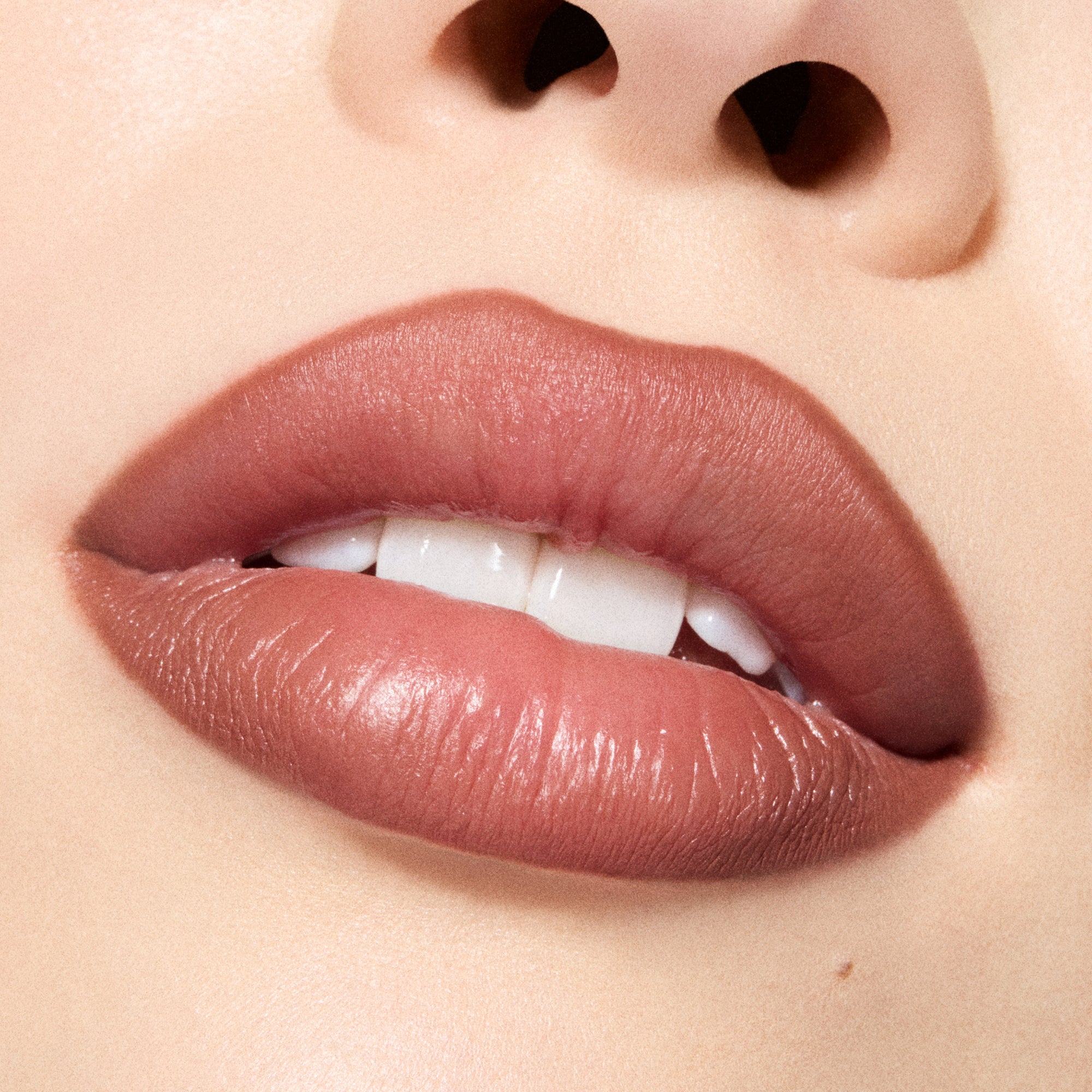 Lip Pencil / Metamorphosis Collection, 1.45 g, Spiced Tea, Model, light