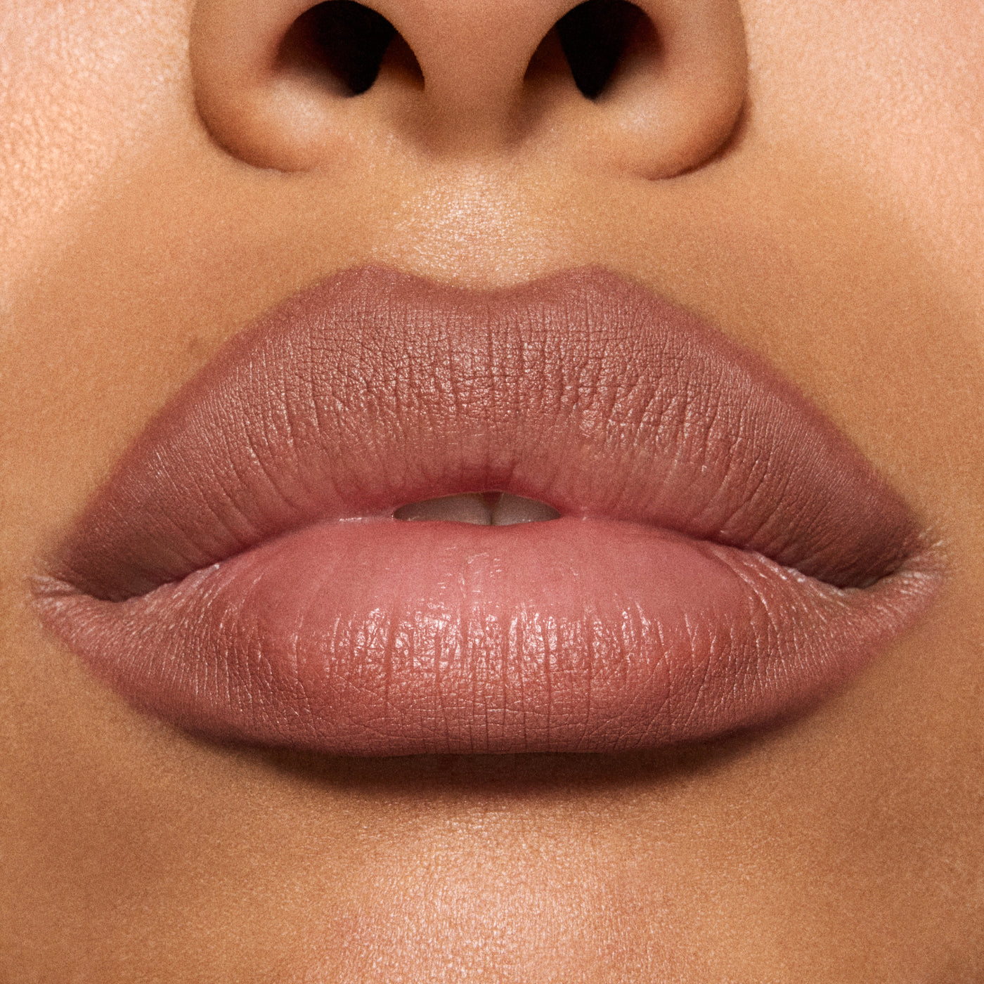 Lip Pencil / Metamorphosis Collection, 1.45 g, Spiced Tea, Model, medium