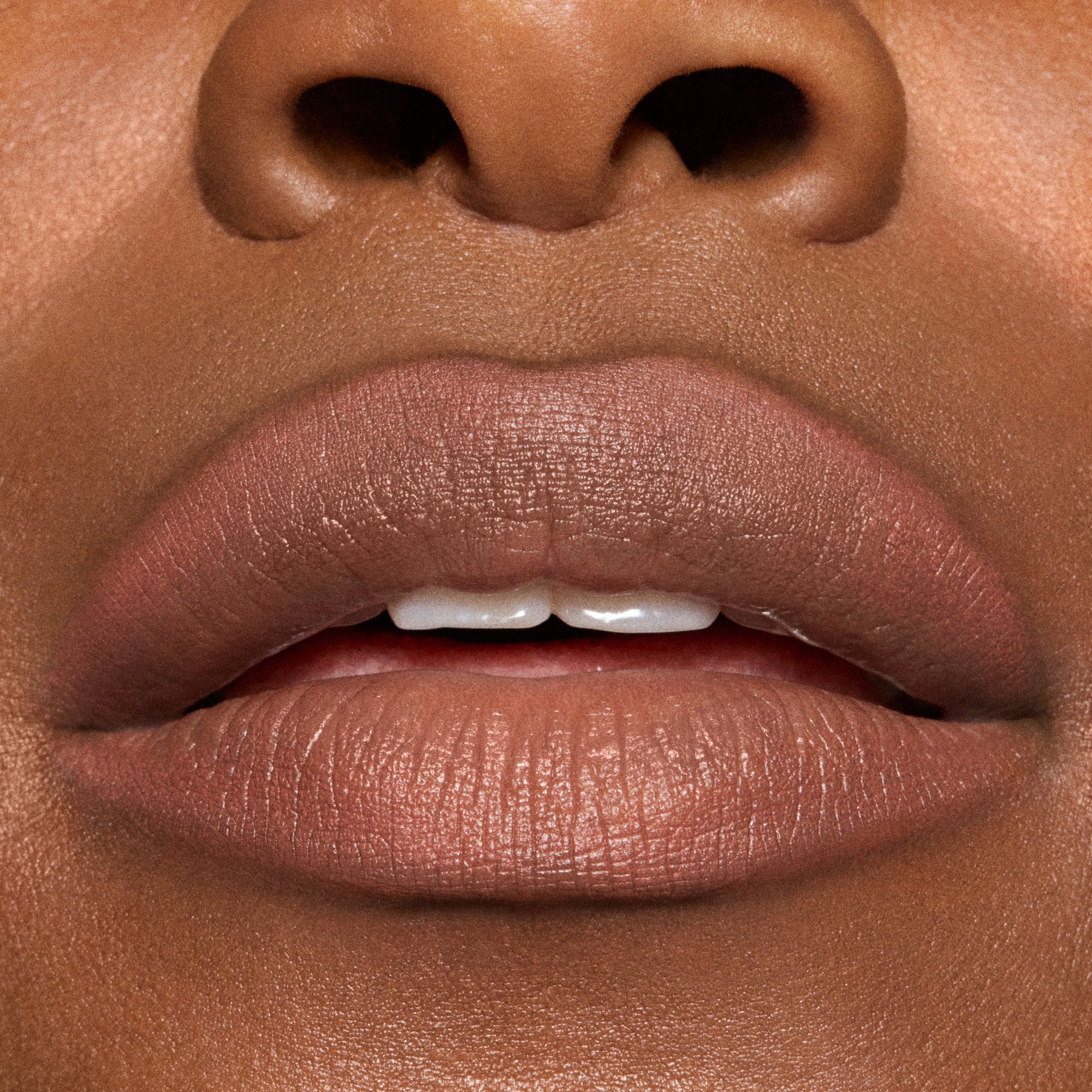 Lip Pencil / Metamorphosis Collection, 1.45 g, Spiced Tea, Model, deep