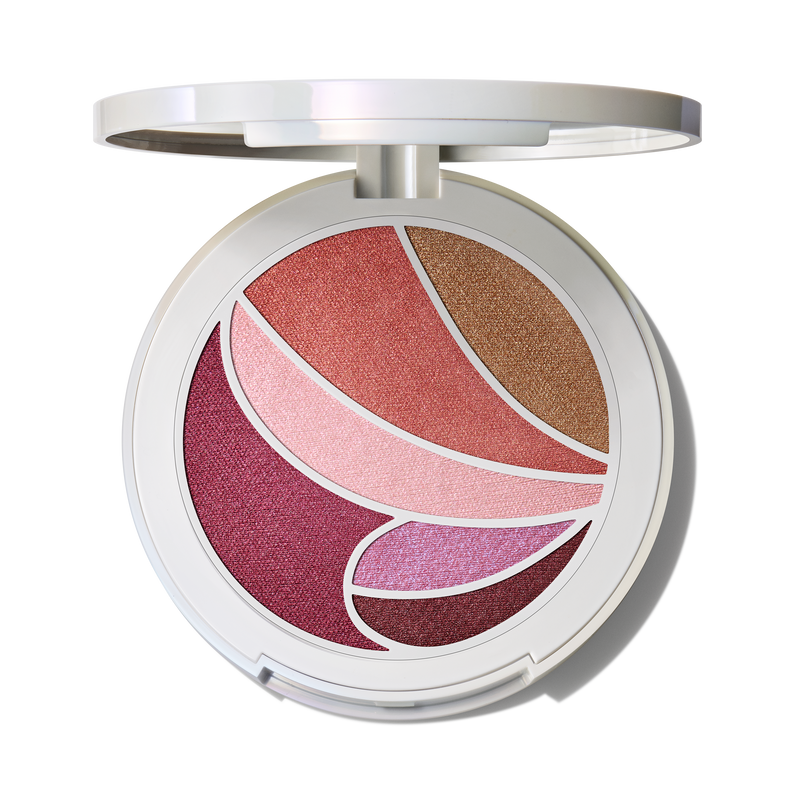 Metamorphosis Face & Eye Palette / Metamorphosis Collection - 0.28 oz