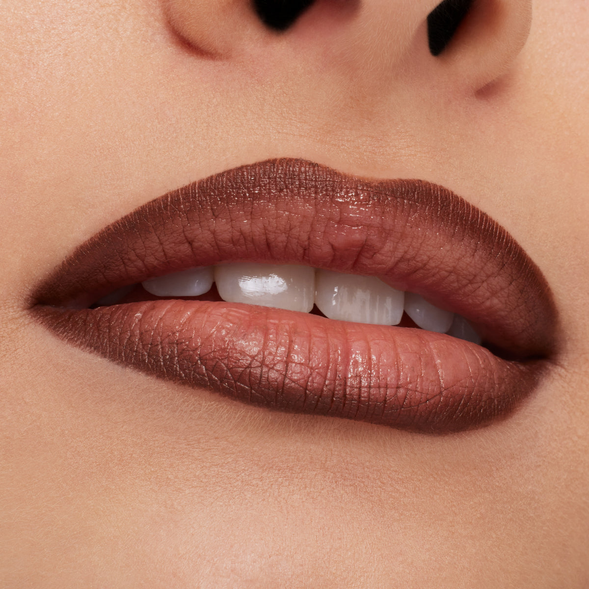 Lip Pencil / Metamorphosis Collection, 1.45 g, Chestnut, Model, light