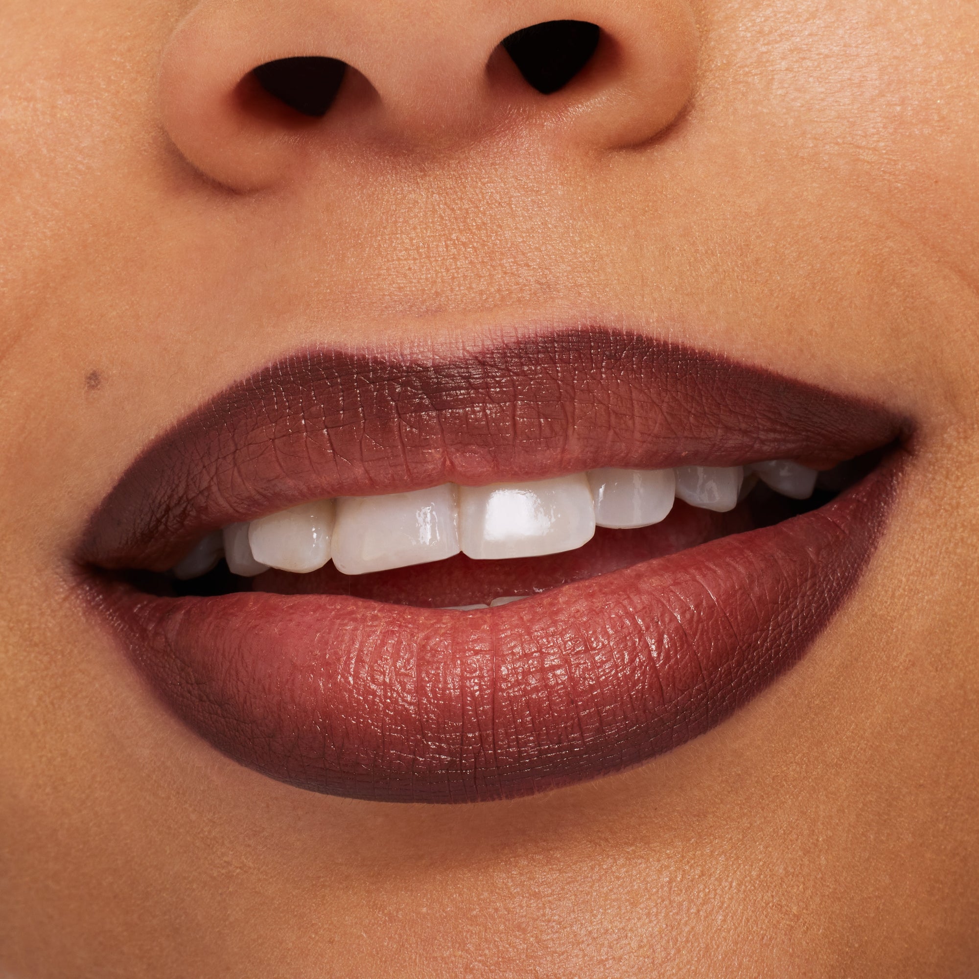 Lip Pencil / Metamorphosis Collection, 1.45 g, Chestnut, Model, medium