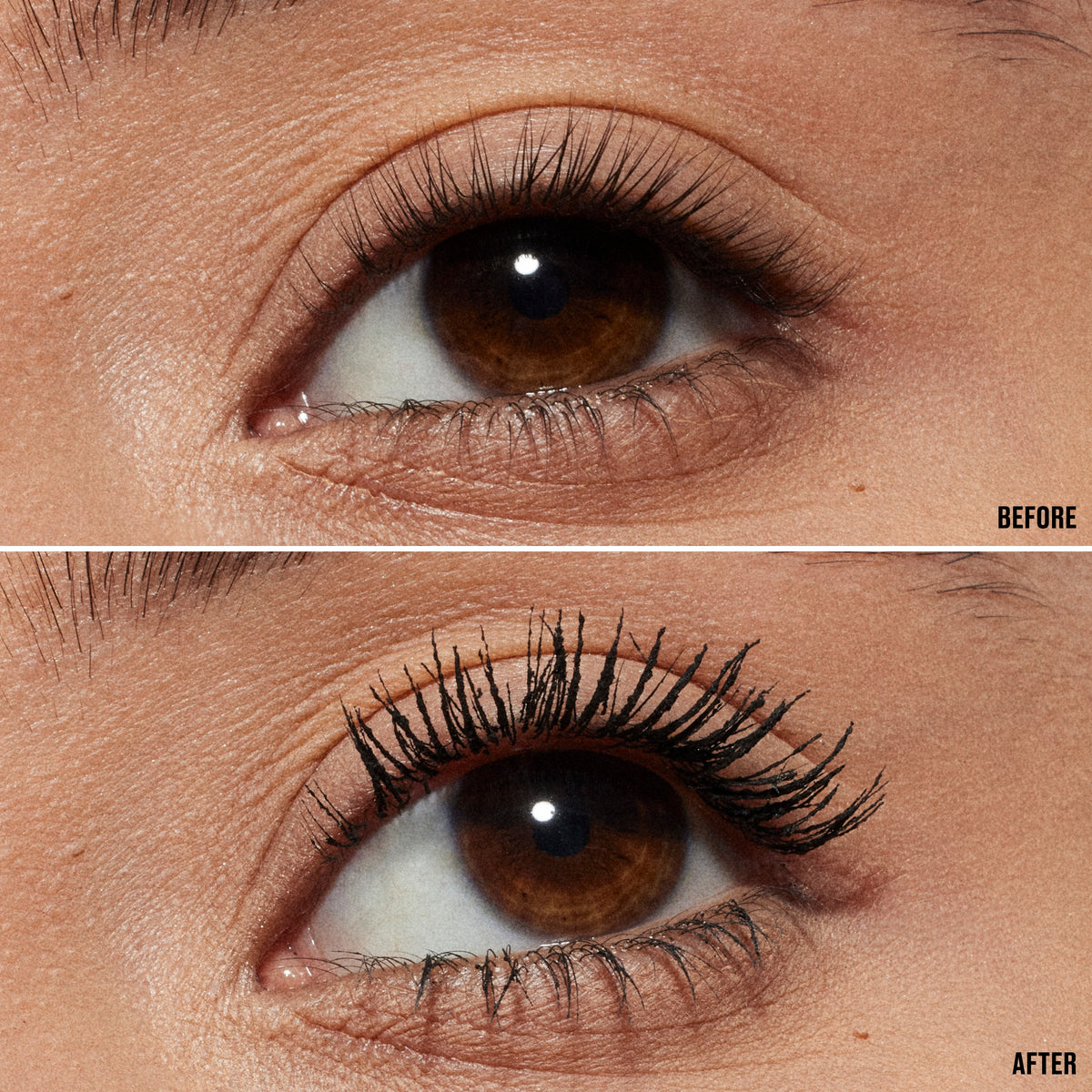 Dressed To Dazzle Eye Duo, Model, medium